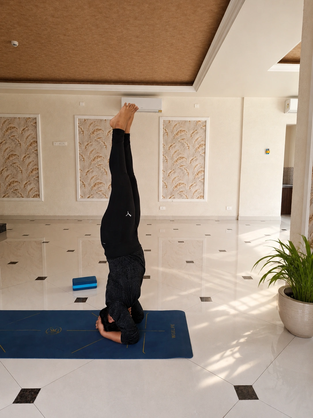 Therapeutic Yoga for Back Pain Relief